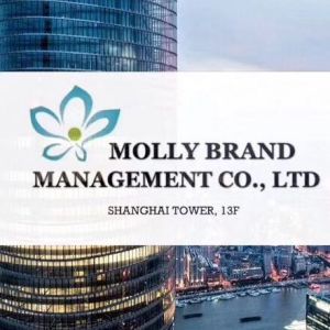 Molly Business Consulting